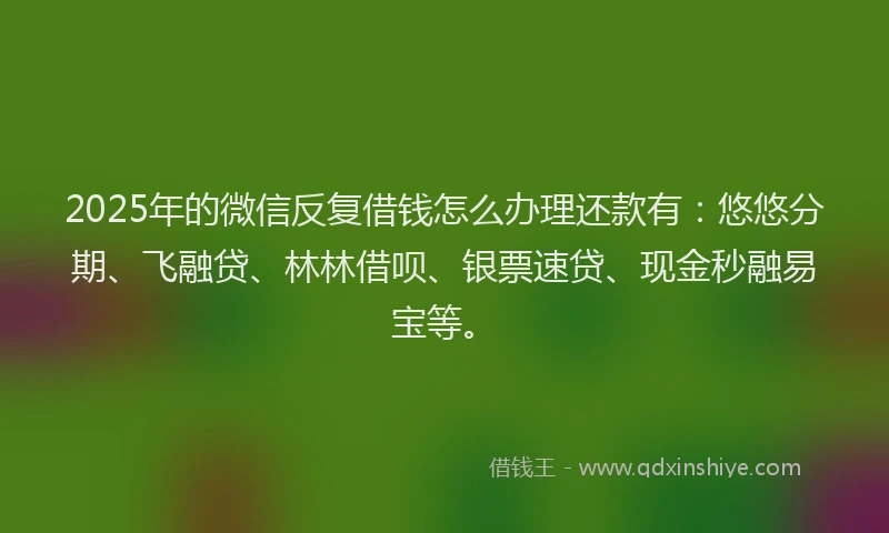 2025年的微信反复借钱怎么办理还款有：悠悠分期、飞融贷、林林借呗、银票速贷、现金秒融易宝等。