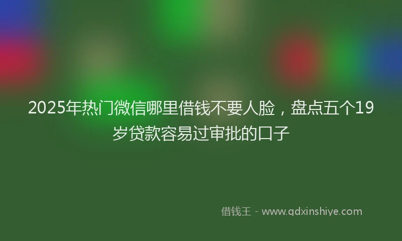 2025年热门微信哪里借钱不要人脸，盘点五个19岁贷款容易过审批的口子