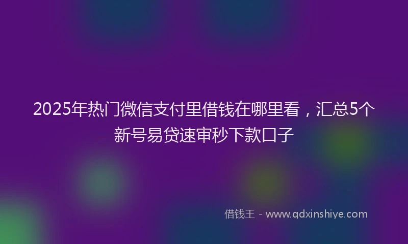 2025年热门微信支付里借钱在哪里看，汇总5个新号易贷速审秒下款口子