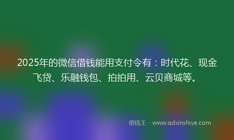 2025年的微信借钱能用支付令有：时代花、现金飞贷、乐融钱包、拍拍用、云贝商城等。