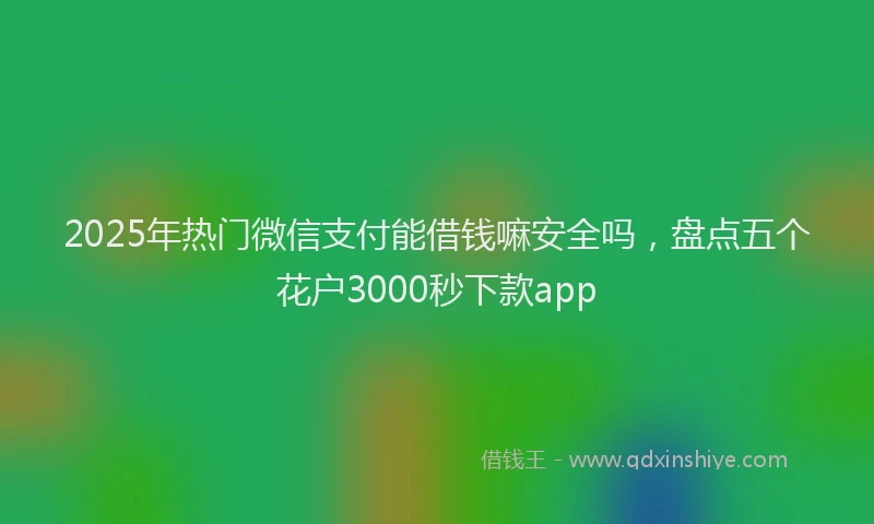 2025年热门微信支付能借钱嘛安全吗，盘点五个花户3000秒下款app
