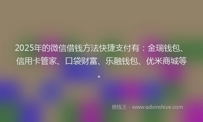 2025年的微信借钱方法快捷支付有：金瑞钱包、信用卡管家、口袋财富、乐融钱包、优米商城等。