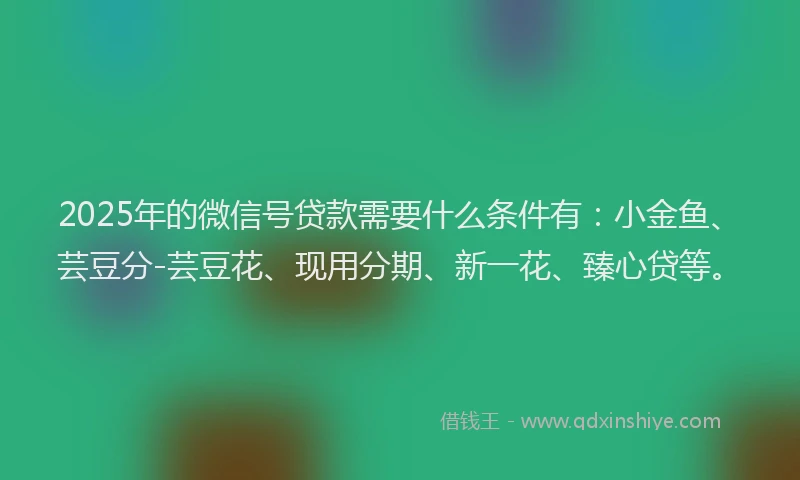 2025年的微信号贷款需要什么条件有：小金鱼、芸豆分-芸豆花、现用分期、新一花、臻心贷等。