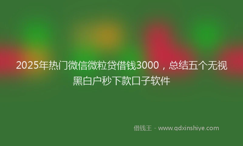2025年热门微信微粒贷借钱3000，总结五个无视黑白户秒下款口子软件