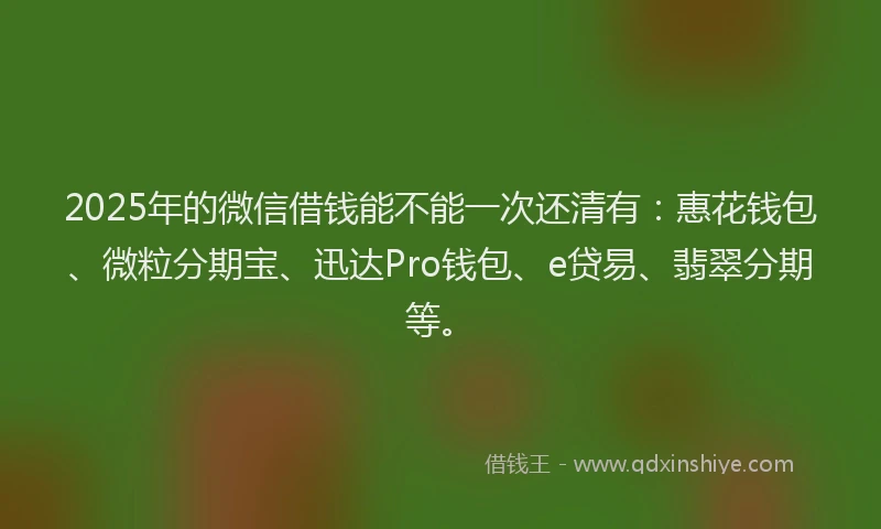2025年的微信借钱能不能一次还清有：惠花钱包、微粒分期宝、迅达Pro钱包、e贷易、翡翠分期等。