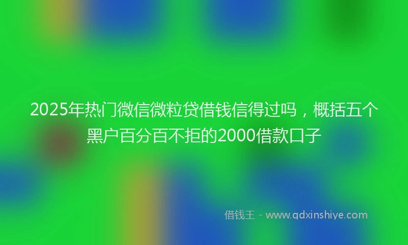 2025年热门微信微粒贷借钱信得过吗，概括五个黑户百分百不拒的2000借款口子