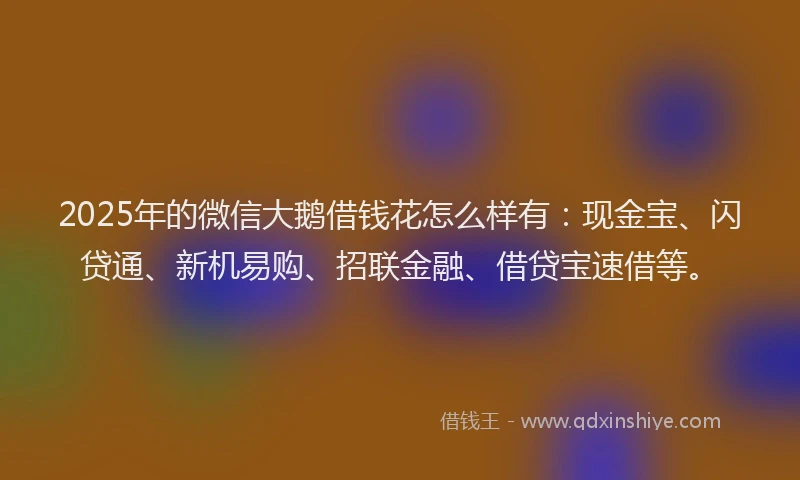 2025年的微信大鹅借钱花怎么样有：现金宝、闪贷通、新机易购、招联金融、借贷宝速借等。