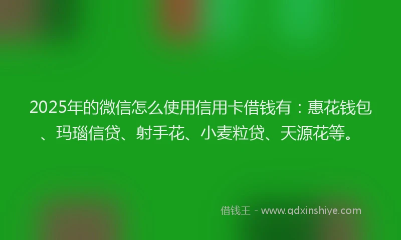 2025年的微信怎么使用信用卡借钱有：惠花钱包、玛瑙信贷、射手花、小麦粒贷、天源花等。