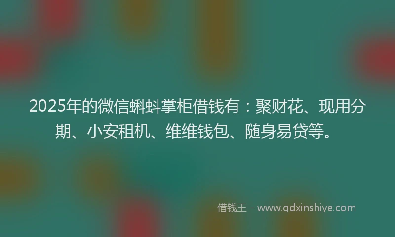 2025年的微信蝌蚪掌柜借钱有：聚财花、现用分期、小安租机、维维钱包、随身易贷等。