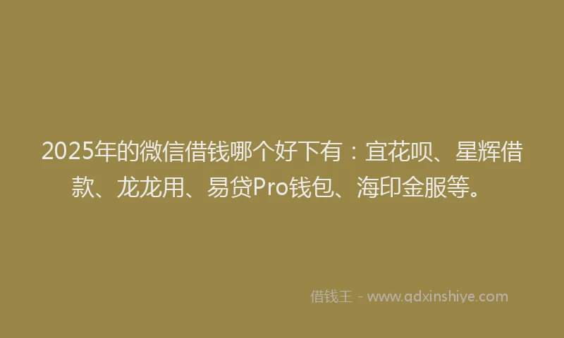 2025年的微信借钱哪个好下有：宜花呗、星辉借款、龙龙用、易贷Pro钱包、海印金服等。