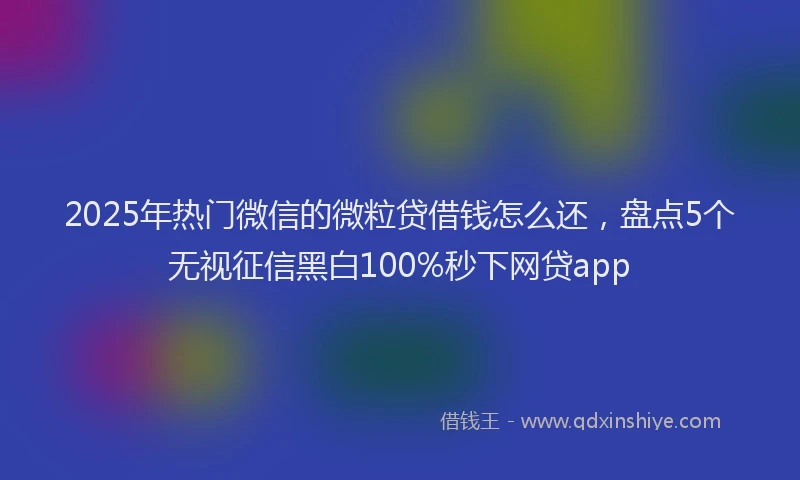 2025年热门微信的微粒贷借钱怎么还，盘点5个无视征信黑白100%秒下网贷app