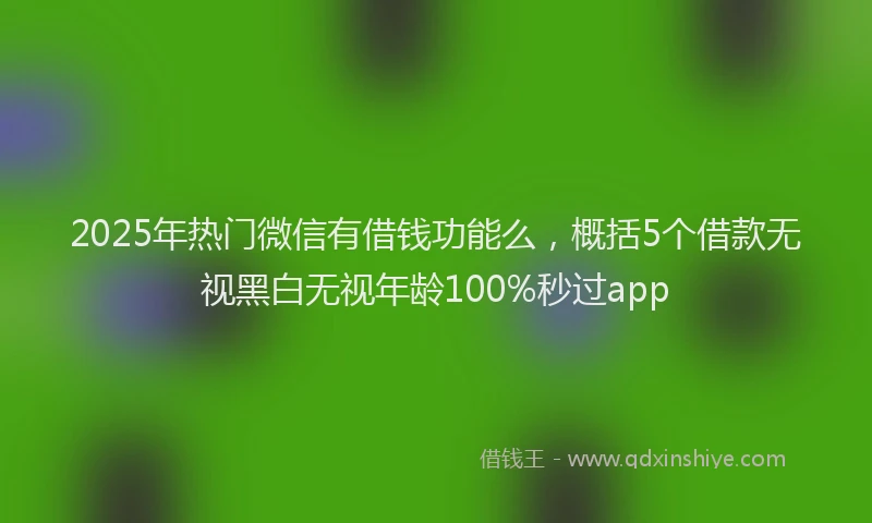 2025年热门微信有借钱功能么，概括5个借款无视黑白无视年龄100%秒过app