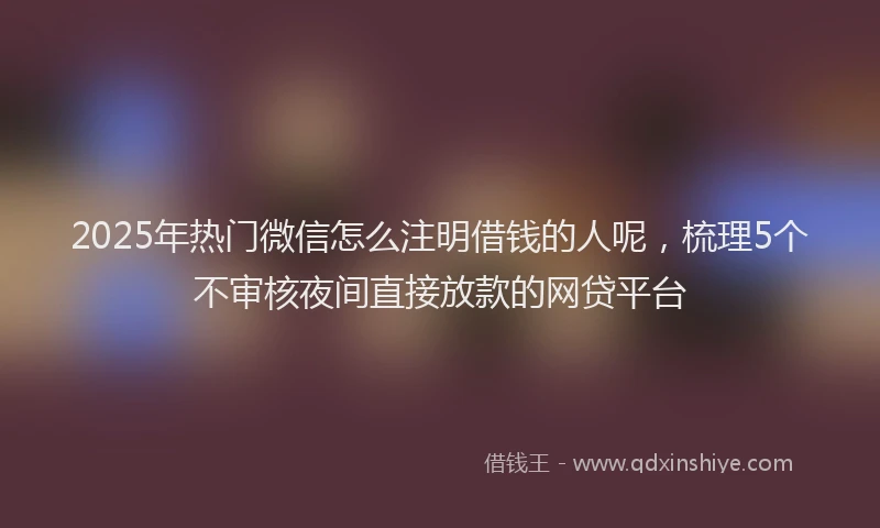 2025年热门微信怎么注明借钱的人呢，梳理5个不审核夜间直接放款的网贷平台