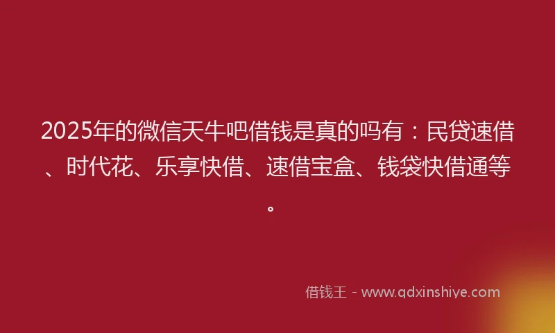 2025年的微信天牛吧借钱是真的吗有：民贷速借、时代花、乐享快借、速借宝盒、钱袋快借通等。