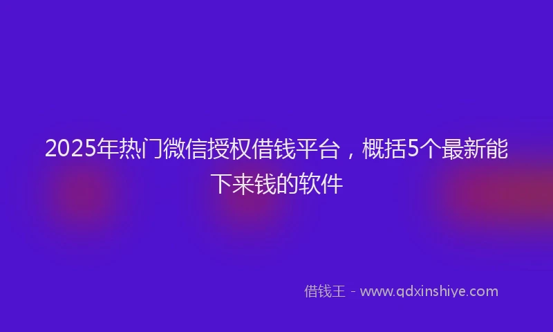 2025年热门微信授权借钱平台，概括5个最新能下来钱的软件