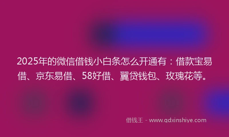 2025年的微信借钱小白条怎么开通有：借款宝易借、京东易借、58好借、翼贷钱包、玫瑰花等。