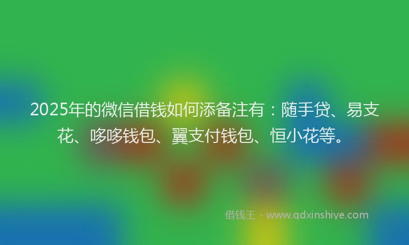 2025年的微信借钱如何添备注有：随手贷、易支花、哆哆钱包、翼支付钱包、恒小花等。