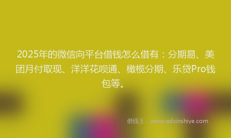 2025年的微信向平台借钱怎么借有：分期易、美团月付取现、洋洋花呗通、橄榄分期、乐贷Pro钱包等。