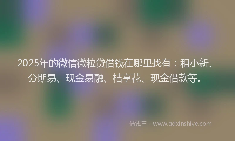 2025年的微信微粒贷借钱在哪里找有：租小新、分期易、现金易融、桔享花、现金借款等。