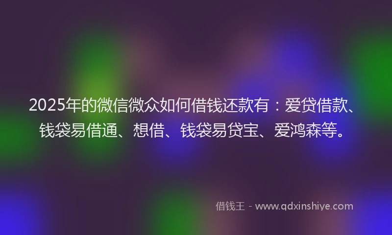 2025年的微信微众如何借钱还款有：爱贷借款、钱袋易借通、想借、钱袋易贷宝、爱鸿森等。