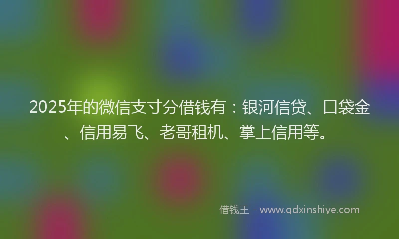 2025年的微信支寸分借钱有：银河信贷、口袋金、信用易飞、老哥租机、掌上信用等。