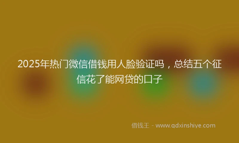 2025年热门微信借钱用人脸验证吗，总结五个征信花了能网贷的口子