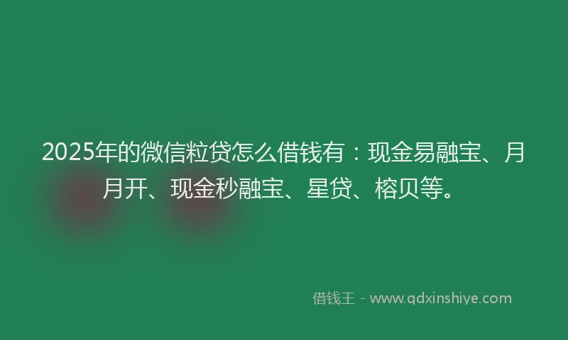2025年的微信粒贷怎么借钱有：现金易融宝、月月开、现金秒融宝、星贷、榕贝等。