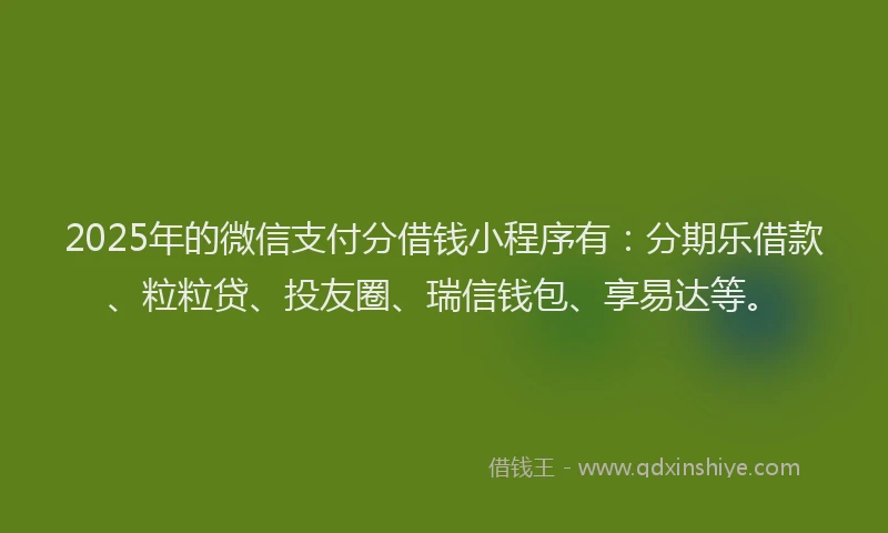 2025年的微信支付分借钱小程序有：分期乐借款、粒粒贷、投友圈、瑞信钱包、享易达等。