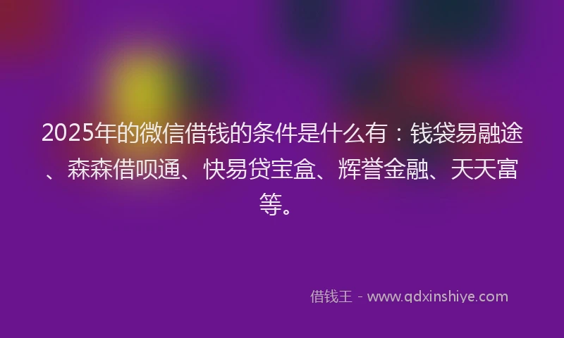 2025年的微信借钱的条件是什么有：钱袋易融途、森森借呗通、快易贷宝盒、辉誉金融、天天富等。