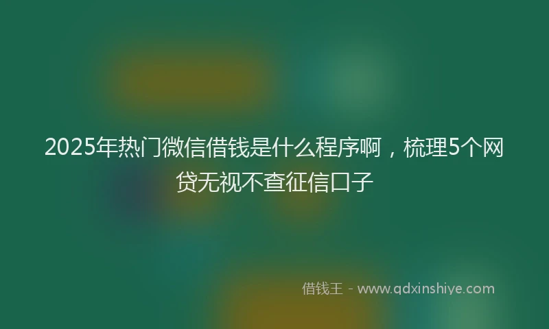 2025年热门微信借钱是什么程序啊，梳理5个网贷无视不查征信口子