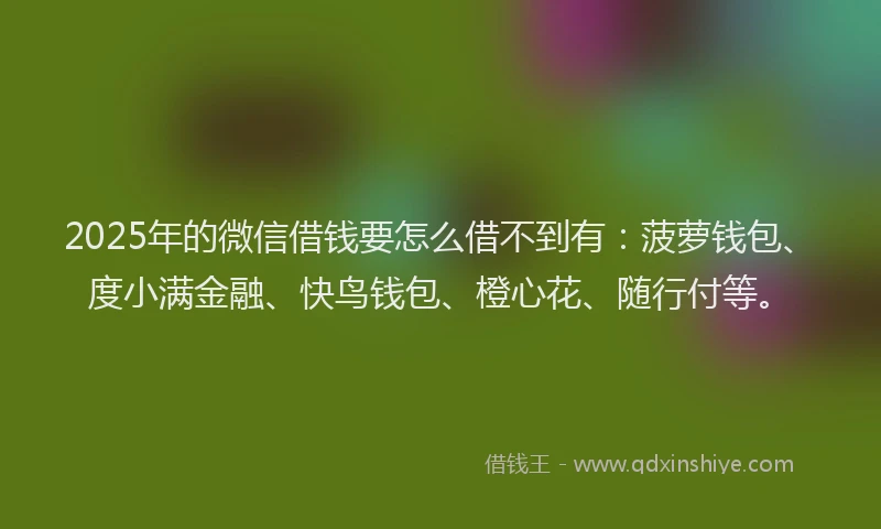 2025年的微信借钱要怎么借不到有：菠萝钱包、度小满金融、快鸟钱包、橙心花、随行付等。
