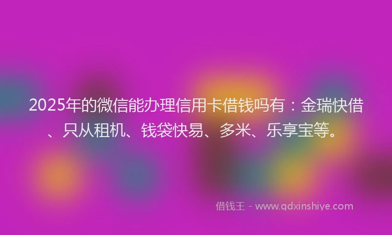 2025年的微信能办理信用卡借钱吗有：金瑞快借、只从租机、钱袋快易、多米、乐享宝等。