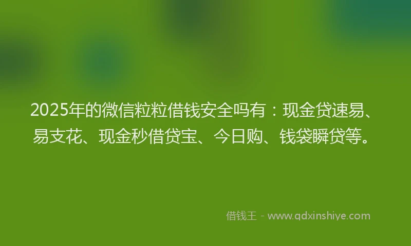 2025年的微信粒粒借钱安全吗有：现金贷速易、易支花、现金秒借贷宝、今日购、钱袋瞬贷等。