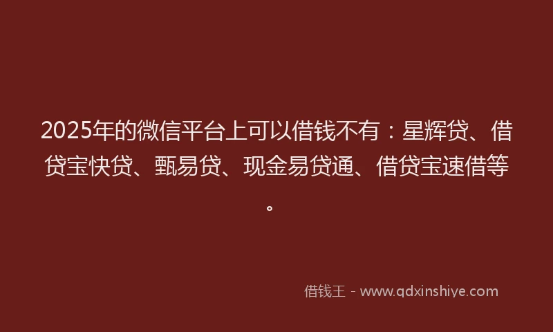 2025年的微信平台上可以借钱不有：星辉贷、借贷宝快贷、甄易贷、现金易贷通、借贷宝速借等。