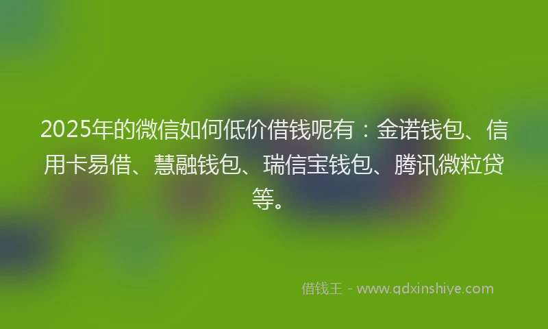 2025年的微信如何低价借钱呢有：金诺钱包、信用卡易借、慧融钱包、瑞信宝钱包、腾讯微粒贷等。