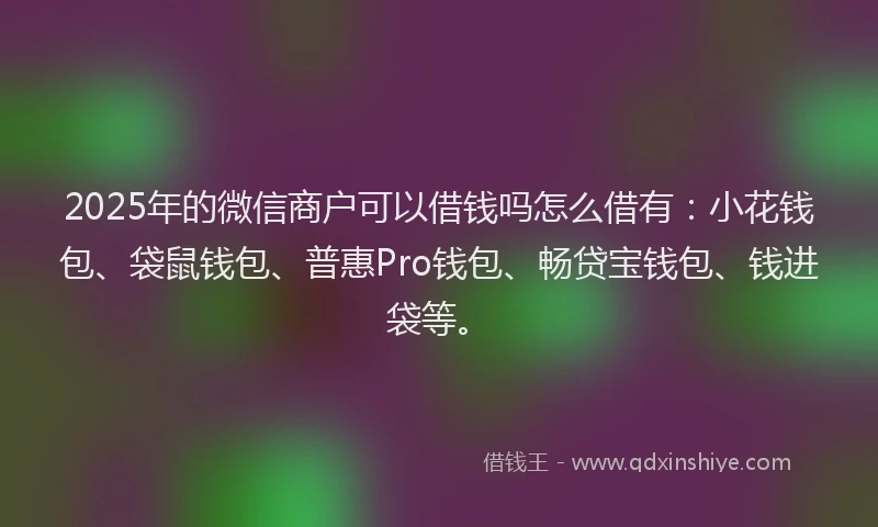2025年的微信商户可以借钱吗怎么借有：小花钱包、袋鼠钱包、普惠Pro钱包、畅贷宝钱包、钱进袋等。