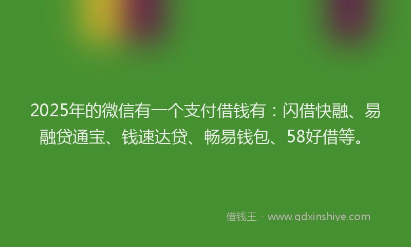 2025年的微信有一个支付借钱有：闪借快融、易融贷通宝、钱速达贷、畅易钱包、58好借等。