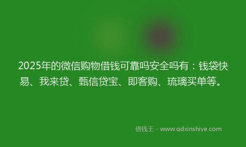 2025年的微信购物借钱可靠吗安全吗有：钱袋快易、我来贷、甄信贷宝、即客购、琉璃买单等。