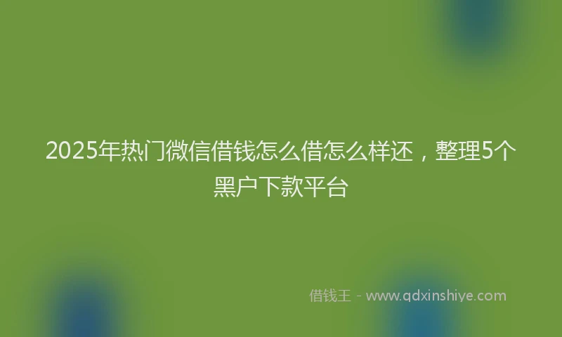 2025年热门微信借钱怎么借怎么样还，整理5个黑户下款平台