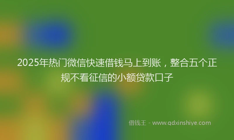 2025年热门微信快速借钱马上到账，整合五个正规不看征信的小额贷款口子