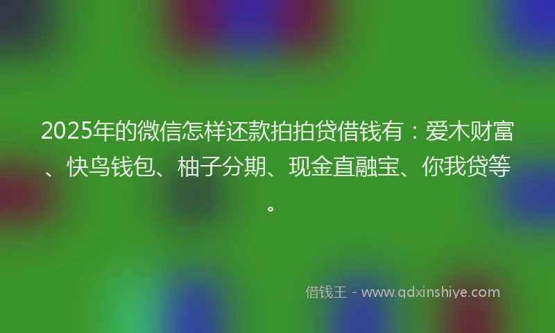 2025年的微信怎样还款拍拍贷借钱有：爱木财富、快鸟钱包、柚子分期、现金直融宝、你我贷等。