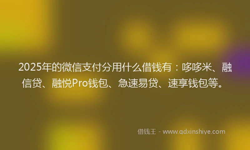 2025年的微信支付分用什么借钱有：哆哆米、融信贷、融悦Pro钱包、急速易贷、速享钱包等。
