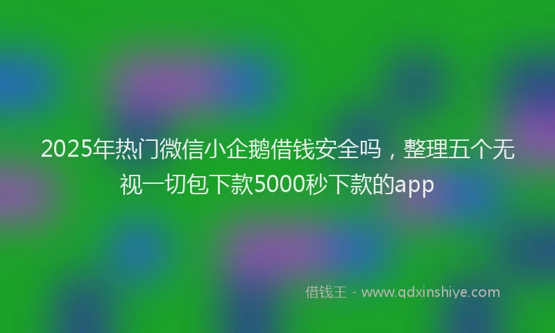 2025年热门微信小企鹅借钱安全吗，整理五个无视一切包下款5000秒下款的app