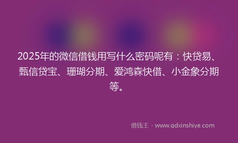 2025年的微信借钱用写什么密码呢有：快贷易、甄信贷宝、珊瑚分期、爱鸿森快借、小金象分期等。