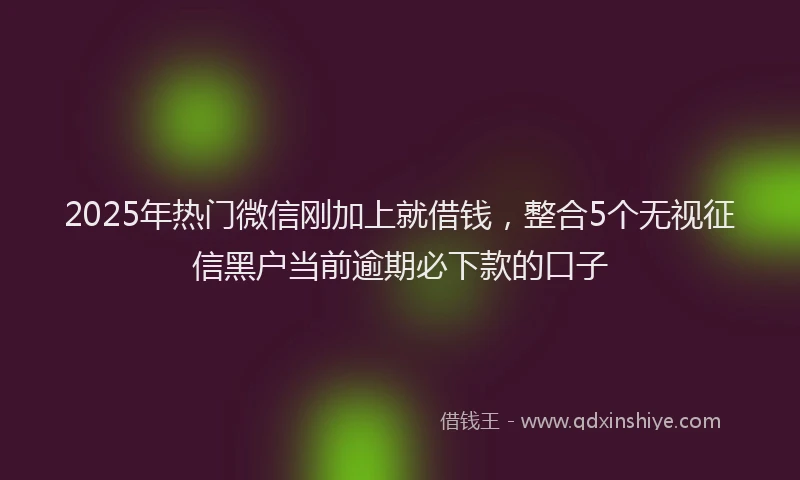 2025年热门微信刚加上就借钱，整合5个无视征信黑户当前逾期必下款的口子
