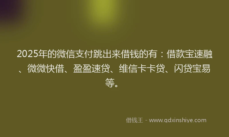 2025年的微信支付跳出来借钱的有：借款宝速融、微微快借、盈盈速贷、维信卡卡贷、闪贷宝易等。