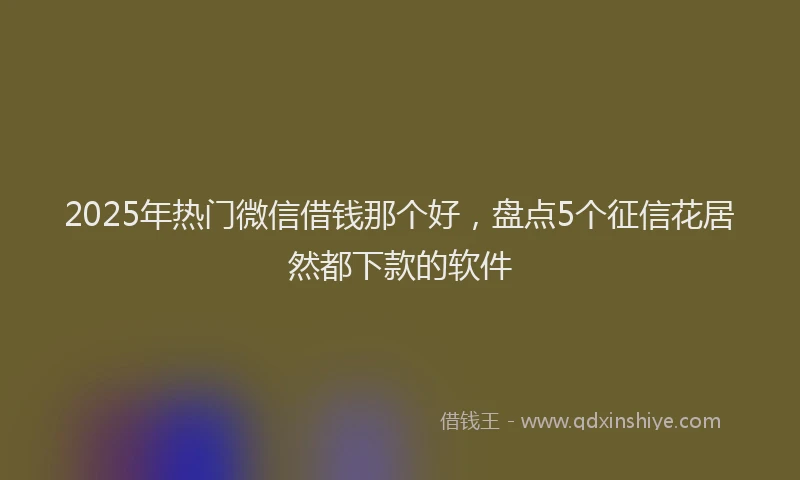 2025年热门微信借钱那个好，盘点5个征信花居然都下款的软件