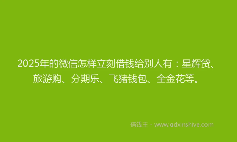 2025年的微信怎样立刻借钱给别人有：星辉贷、旅游购、分期乐、飞猪钱包、全金花等。