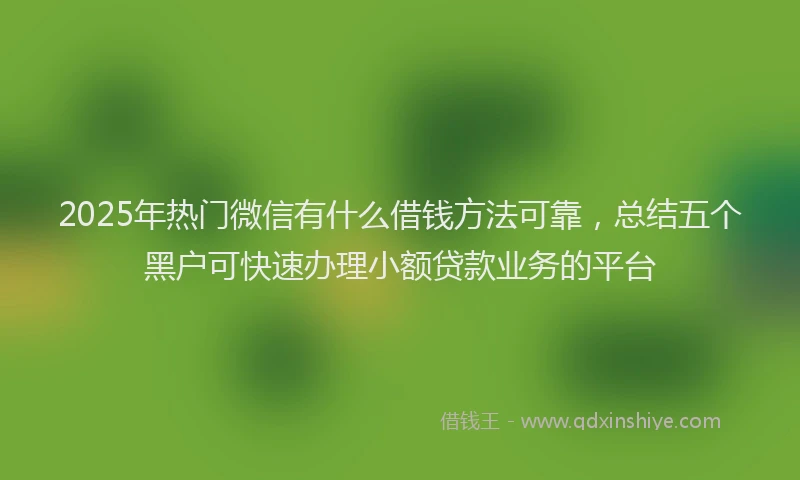 2025年热门微信有什么借钱方法可靠，总结五个黑户可快速办理小额贷款业务的平台