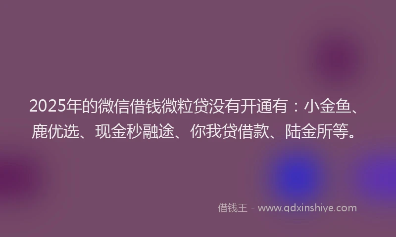 2025年的微信借钱微粒贷没有开通有：小金鱼、鹿优选、现金秒融途、你我贷借款、陆金所等。